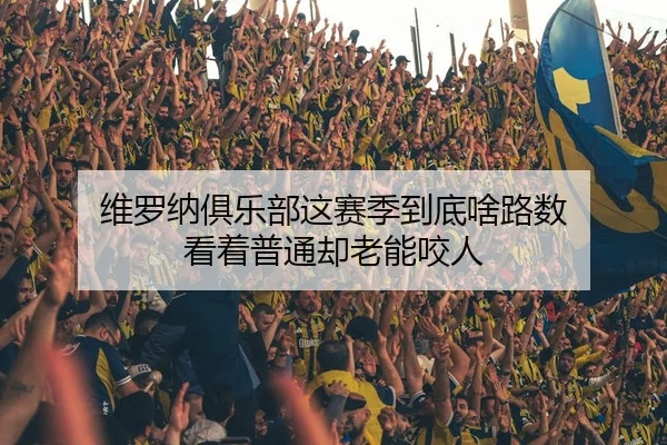 维罗纳俱乐部这赛季到底啥路数 看着普通却老能咬人