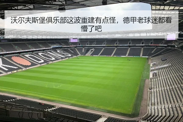 沃尔夫斯堡俱乐部这波重建有点怪，德甲老球迷都看懵了吧