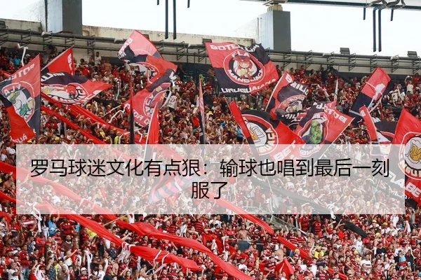 luo-ma-qiu-mi-wen-hua-you-dian-hen-shu-qiu-ye-chang-dao-zui-hou-yi-ke-fu-le-2-179.jpg