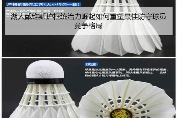 湖人戴维斯护框统治力崛起如何重塑最佳防守球员竞争格局