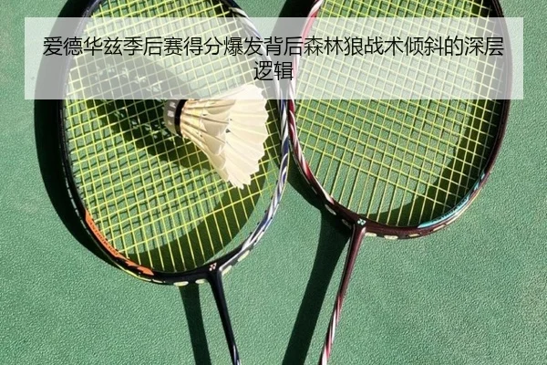 爱德华兹季后赛得分爆发背后森林狼战术倾斜的深层逻辑