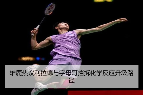 雄鹿热议利拉德与字母哥挡拆化学反应升级路径