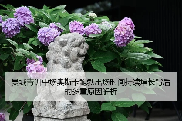 曼城青训中场奥斯卡鲍勃出场时间持续增长背后的多重原因解析