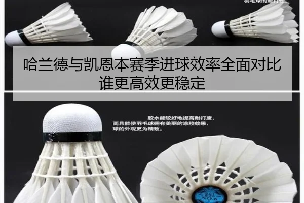 哈兰德与凯恩本赛季进球效率全面对比谁更高效更稳定
