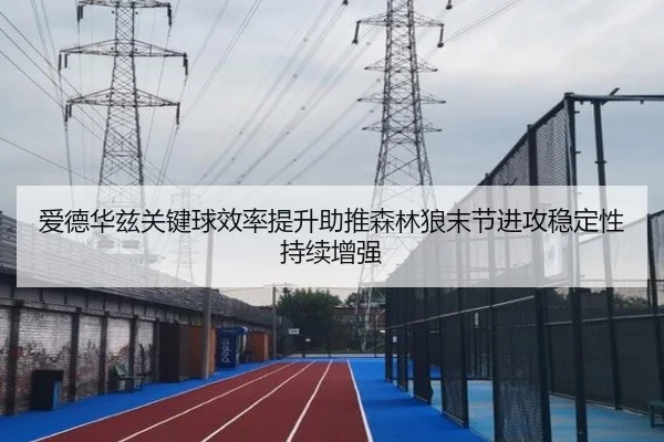 爱德华兹关键球效率提升助推森林狼末节进攻稳定性持续增强